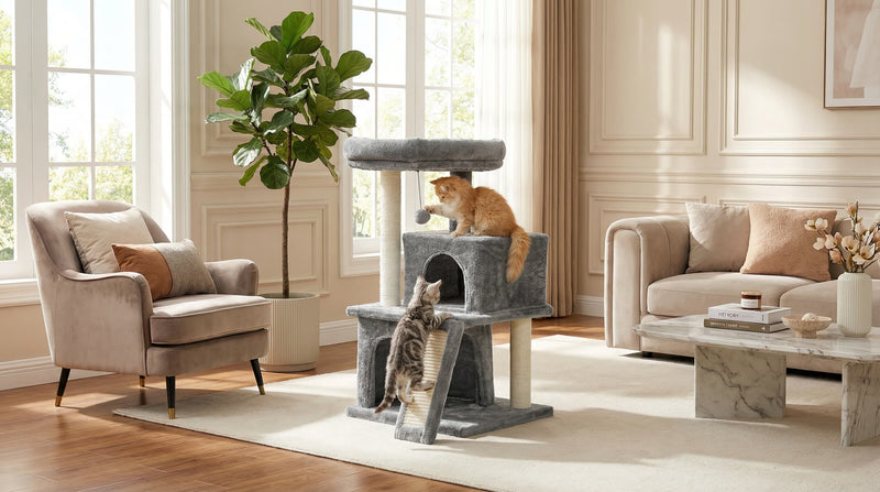 Climbing & Scratching