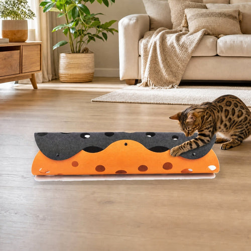 Bengal cat playing with the felt cat tunnel