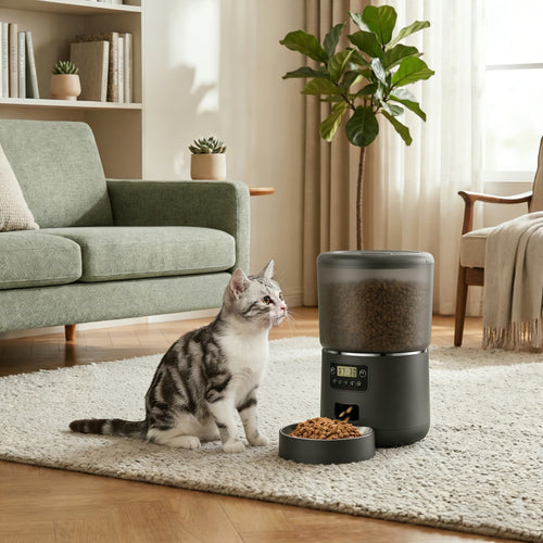 Cat sitting on a rug next to a pet feeder in a living room.
