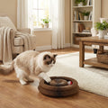 Cat playing with a cardboard cat toy on a wooden floor in a cozy living room.