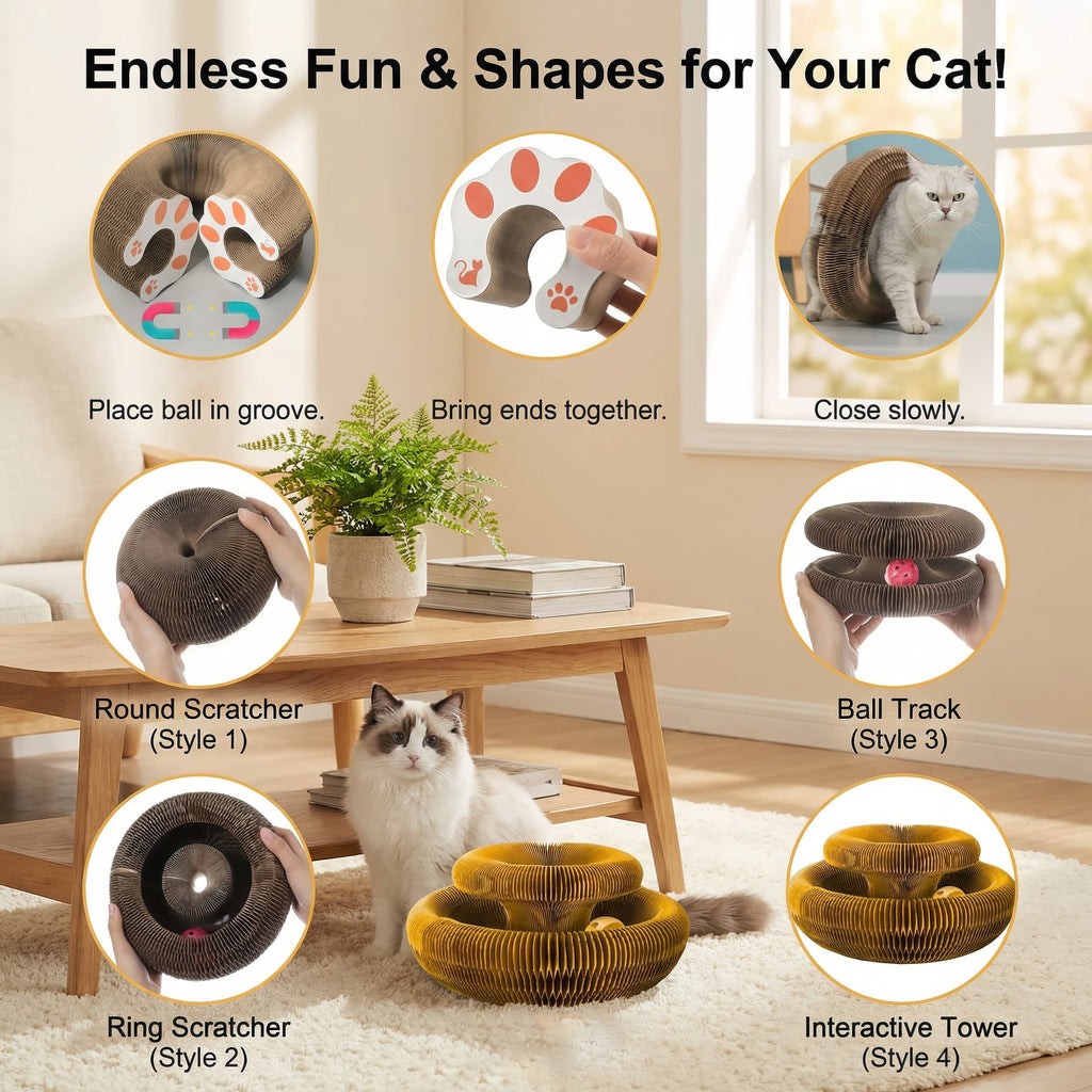 Cat playing with a scratcher toy in a living room setting, with text highlighting features.