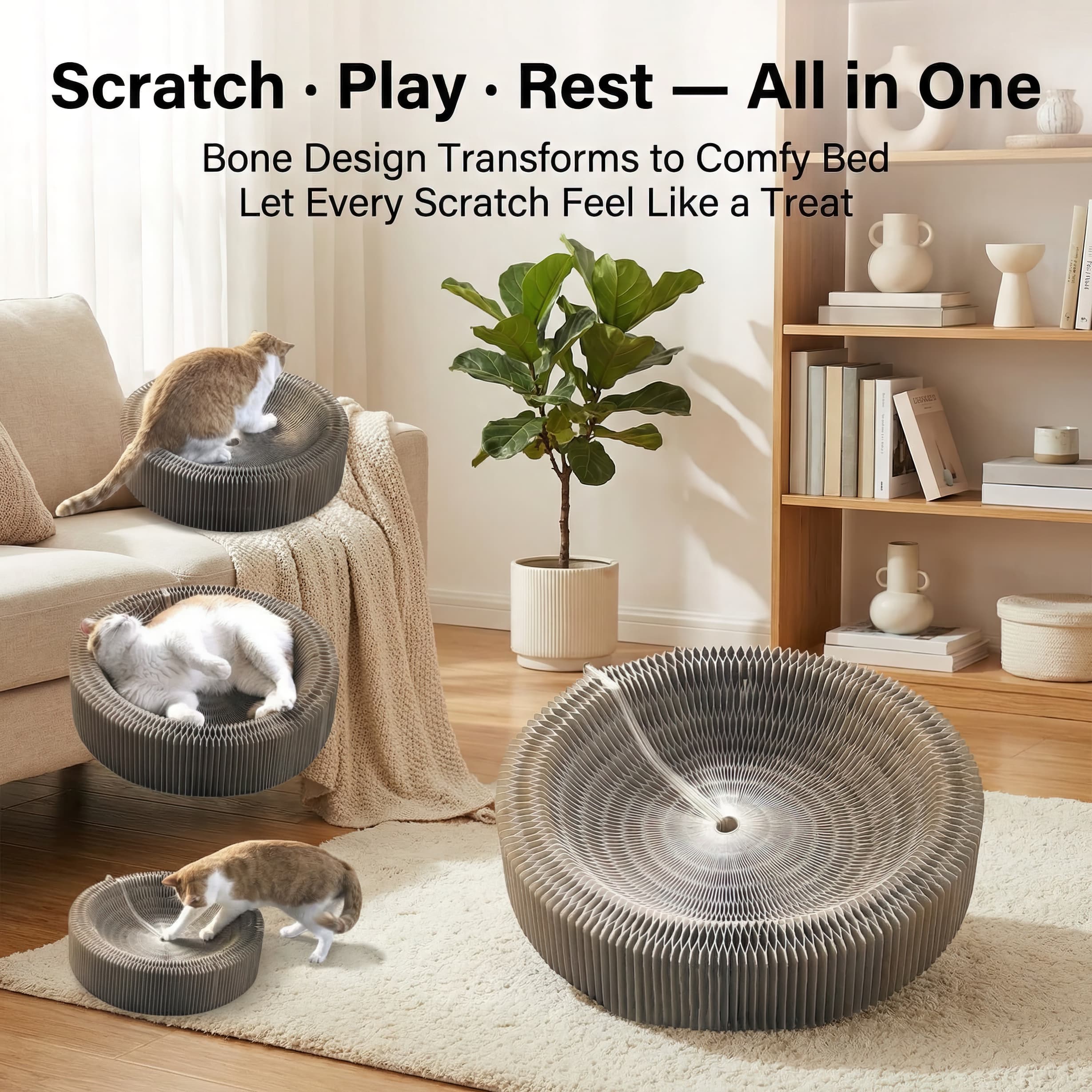 Cat toys and beds in a living room setting with text highlighting their multifunctional design.