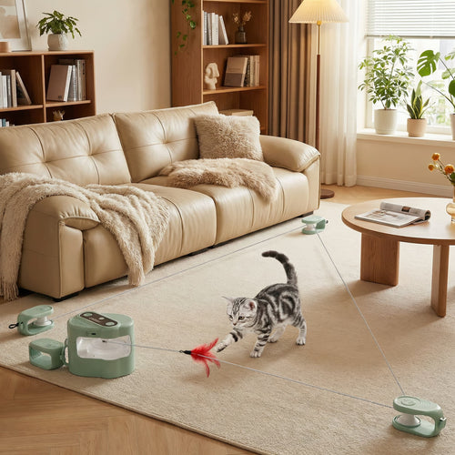 Cat playing with a toy in a living room with a beige sofa and wooden coffee table.