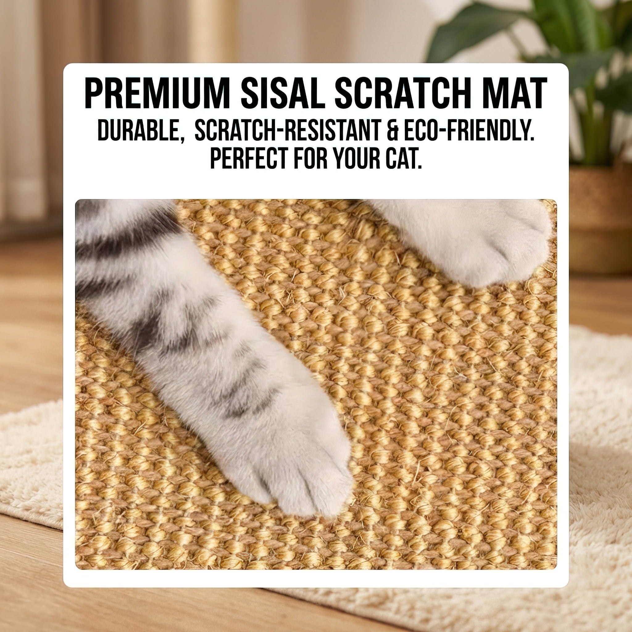 Cat paws on a sisal scratch mat with promotional text overlay.
