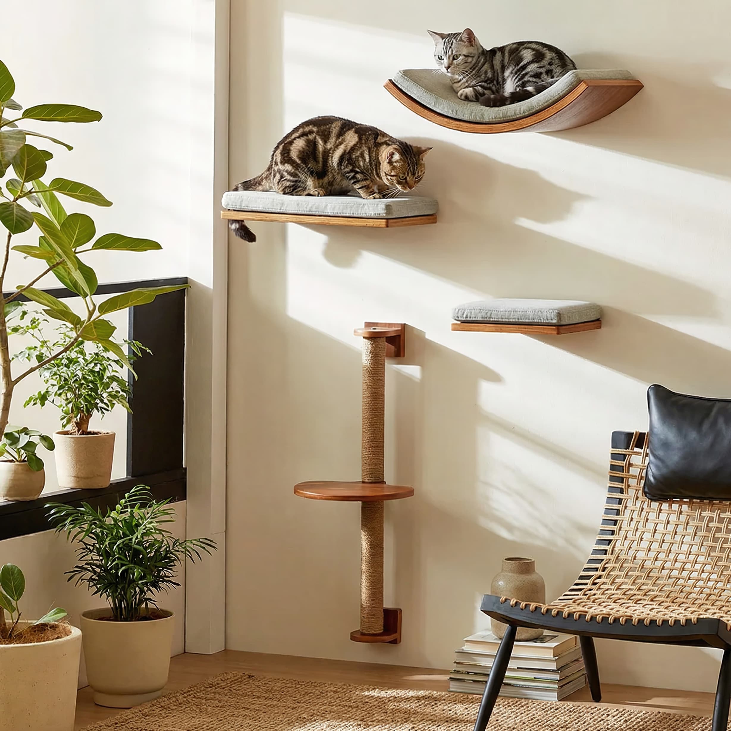Two cats on a wall-mounted cat shelf in a sunlit room with plants and a chair.