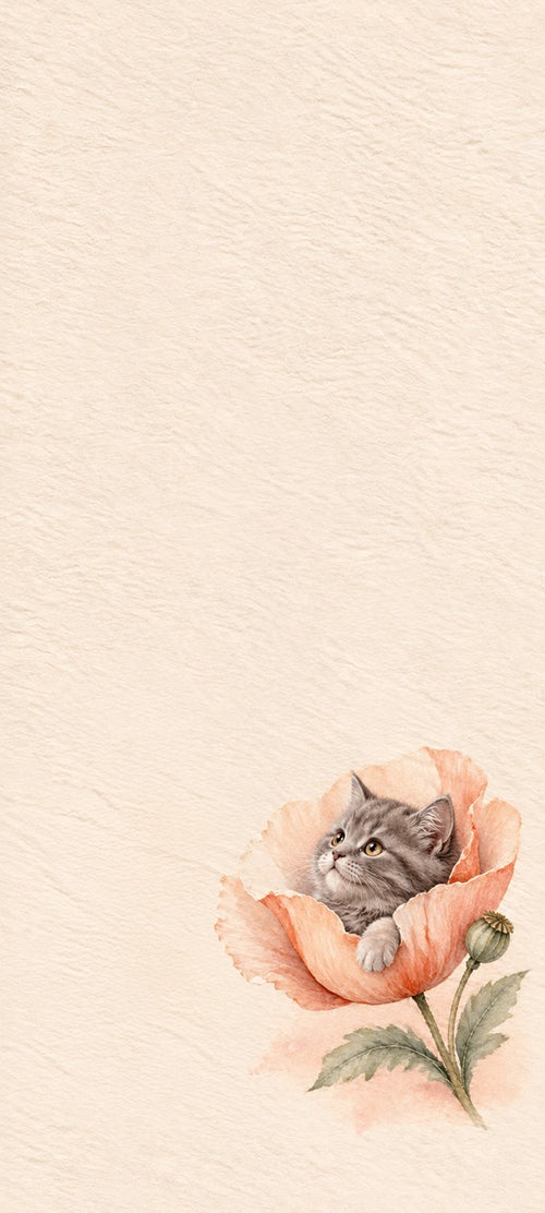 Apricot Poppy Whiskers free cat phone wallpaper preview