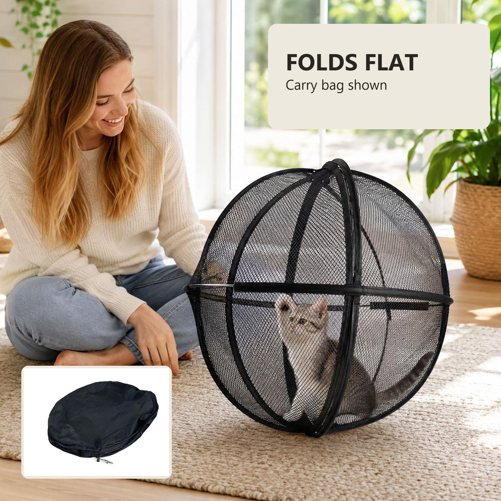 Foldable cat play sphere and carry bag shown with a cat
