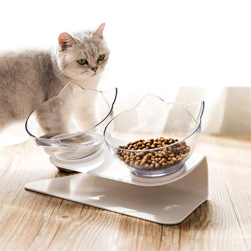 Elevated cat bowl stand with cat and transparent bowls