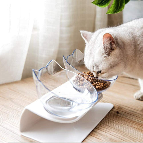 Cat eating from an elevated transparent bowl stand