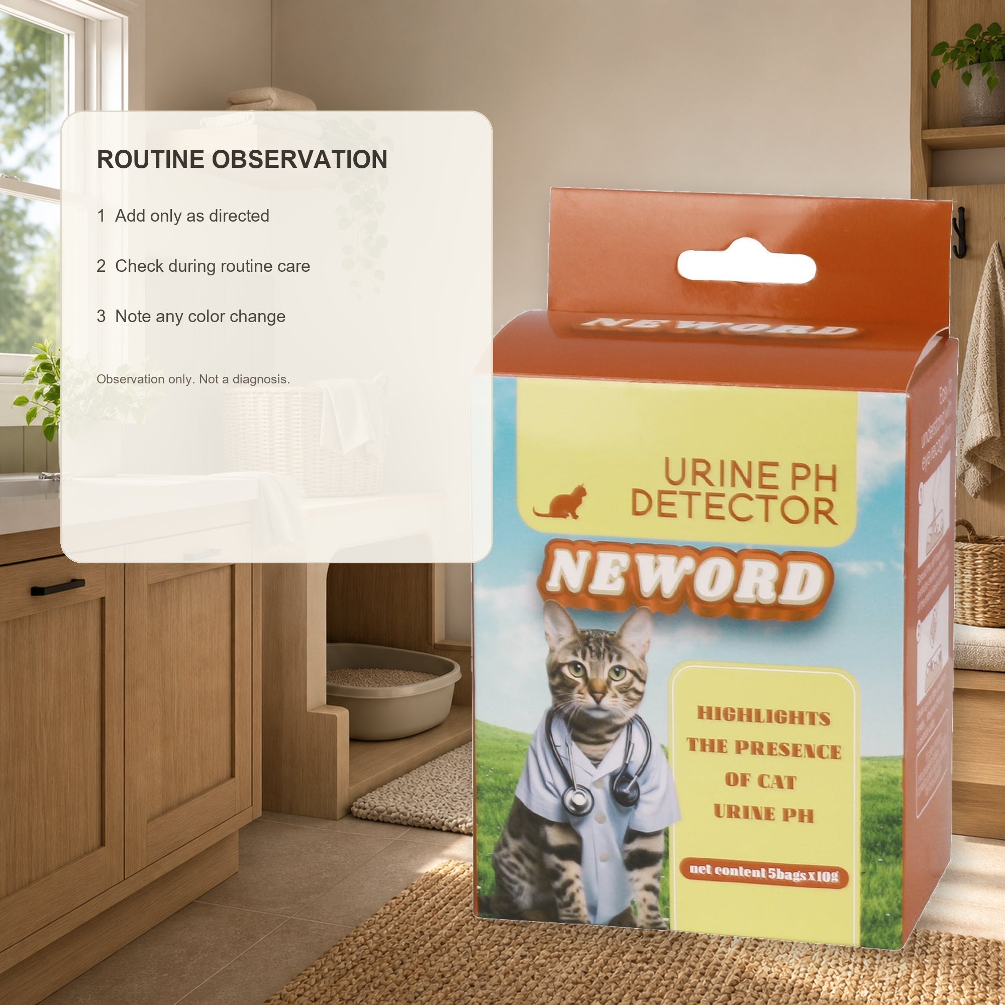 Routine cat litter observation steps with authentic product imagery in a warm home setting