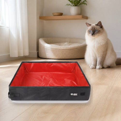 Red-interior portable litter box with a Ragdoll cat