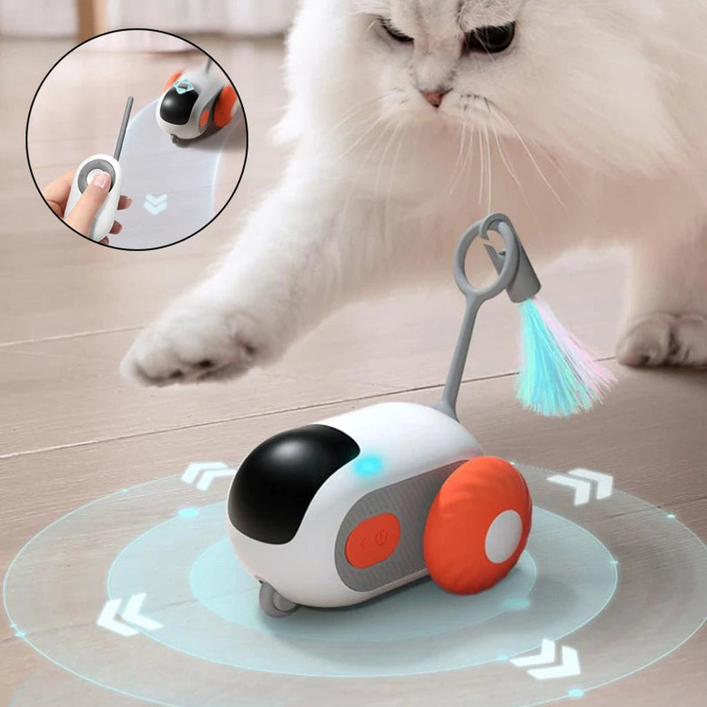 Cat interacting with the remote-control car toy
