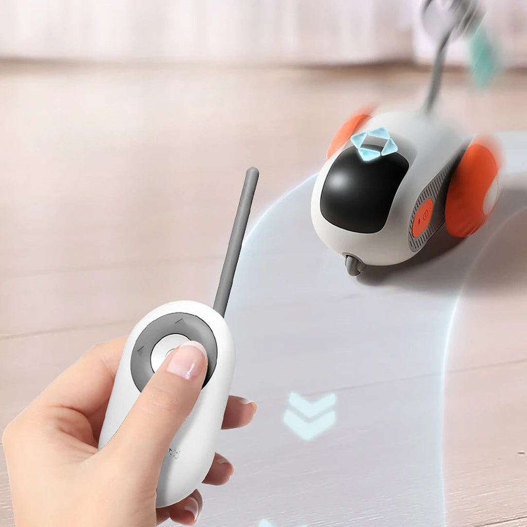 Remote-control operation of the cat car toy