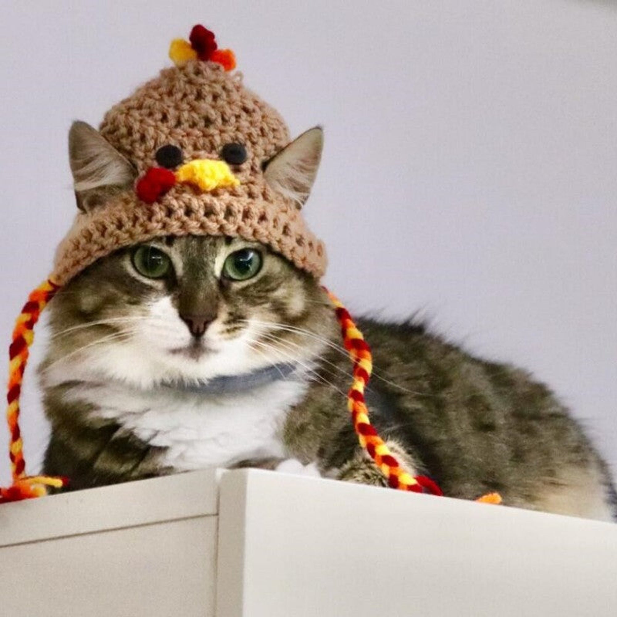 Festive Knit Cat Hat | CuddleCat
