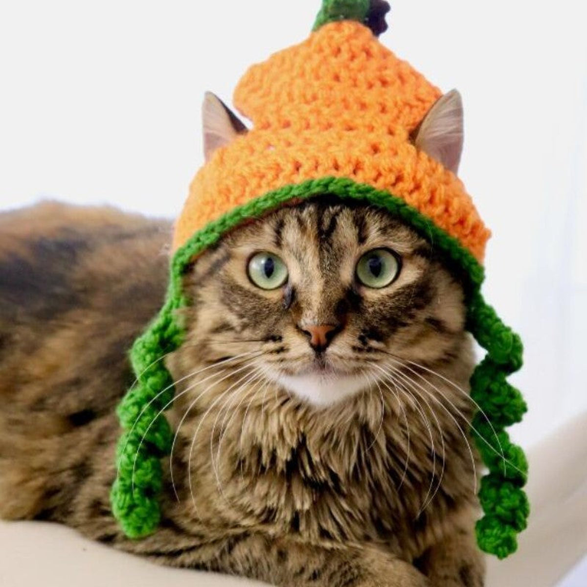 Festive Knit Cat Hat - 2