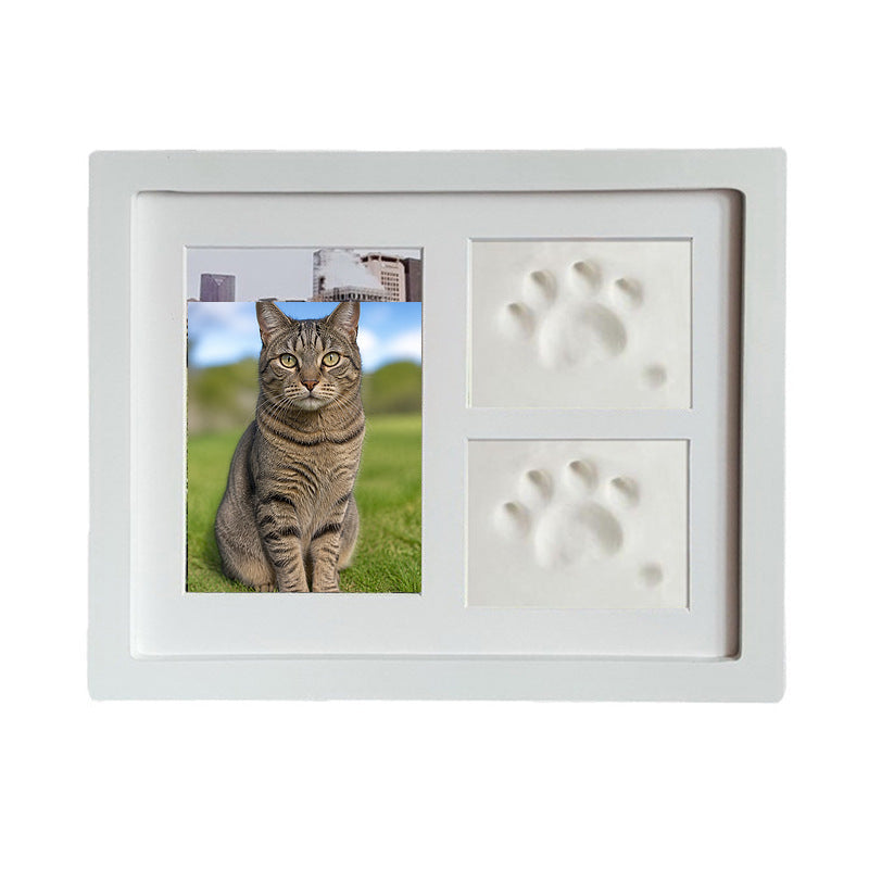 Authentic cat keepsake frame reference with Domestic Shorthair portrait