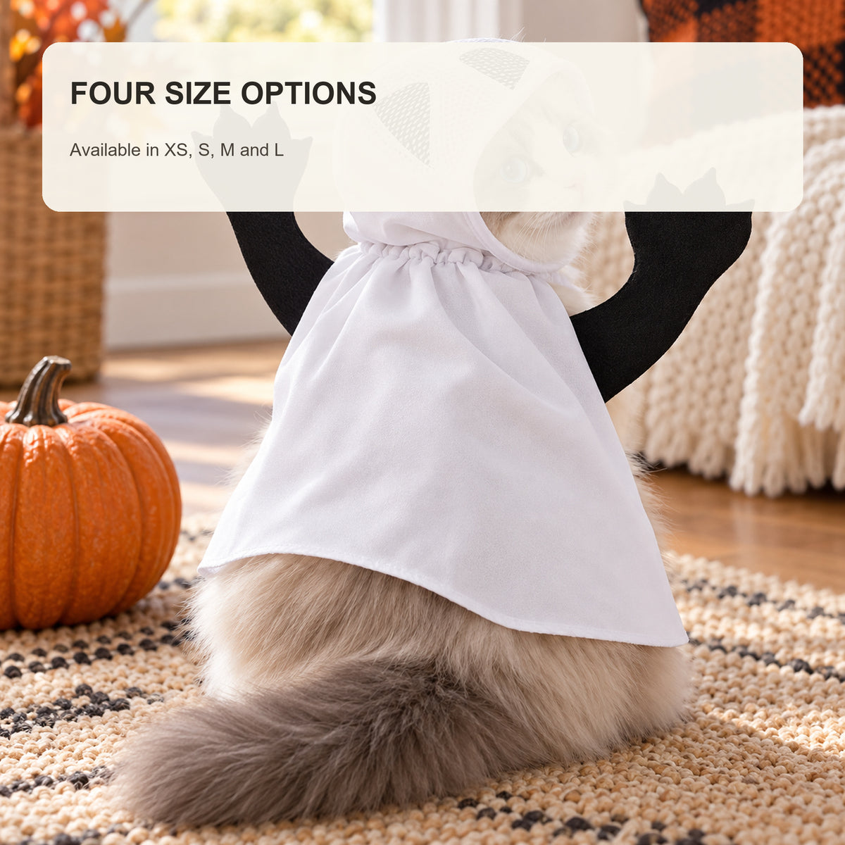 Ghost Cat Costume - 6
