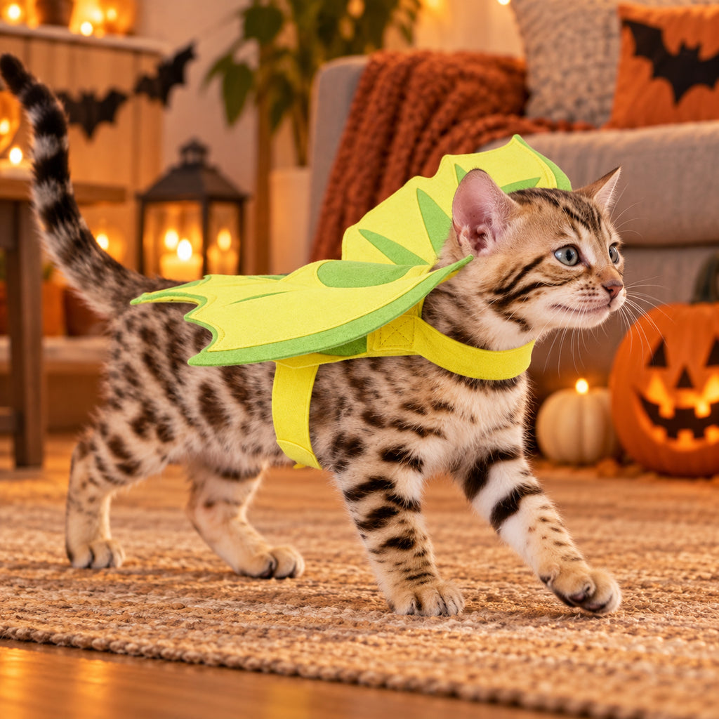 Green Dinosaur Wing Cat Costume - 3
