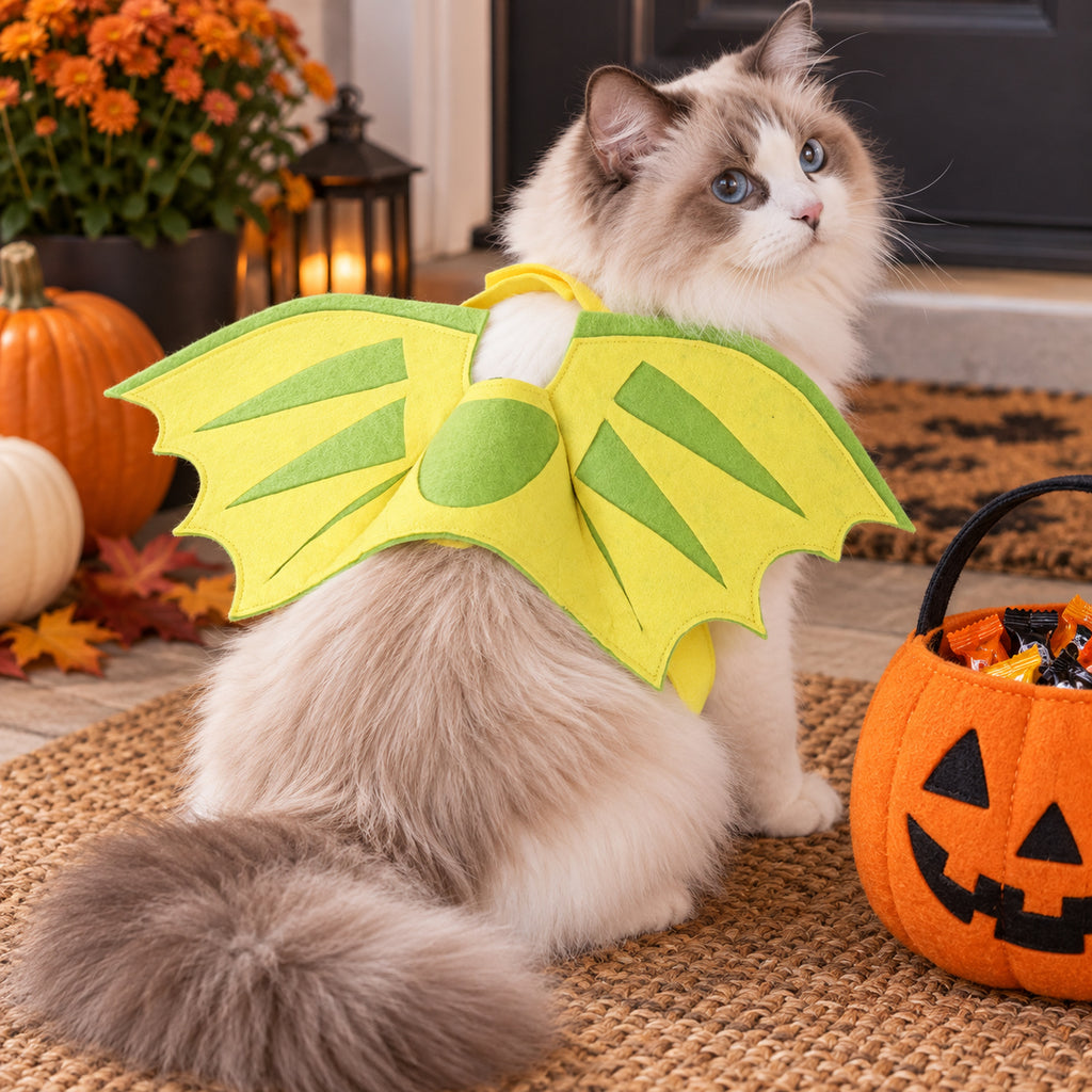 Green Dinosaur Wing Cat Costume - 4