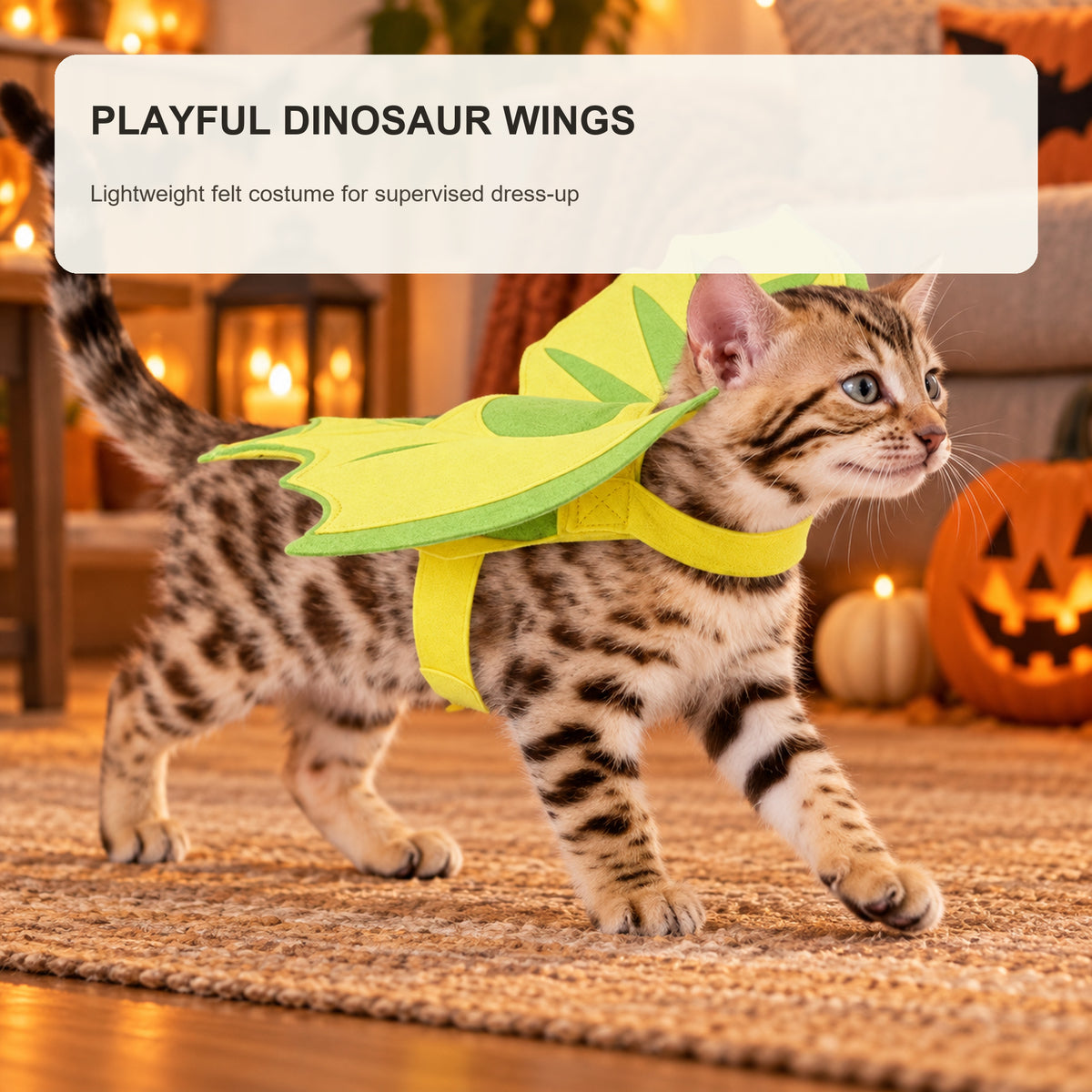 Green Dinosaur Wing Cat Costume - 5