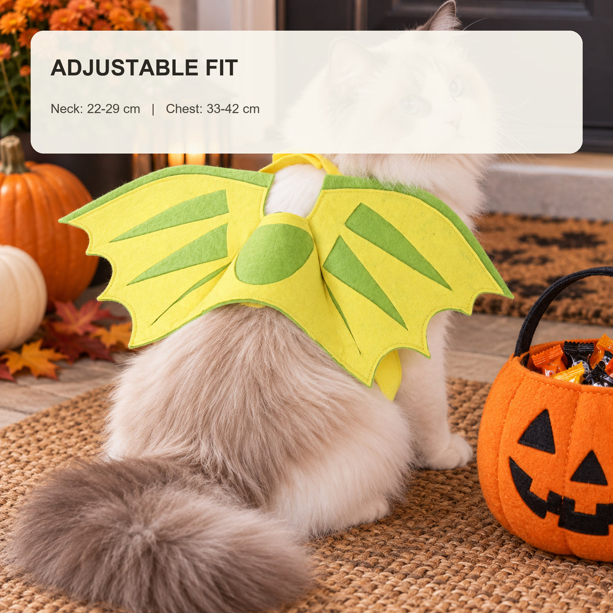 Green Dinosaur Wing Cat Costume - 6