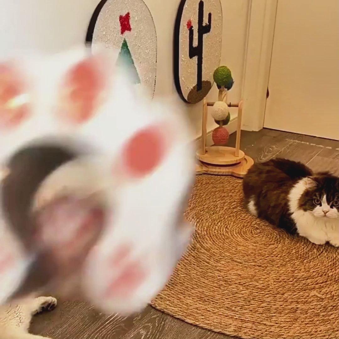 Foldable_Magic_Organ_Cat_Scratcher product video