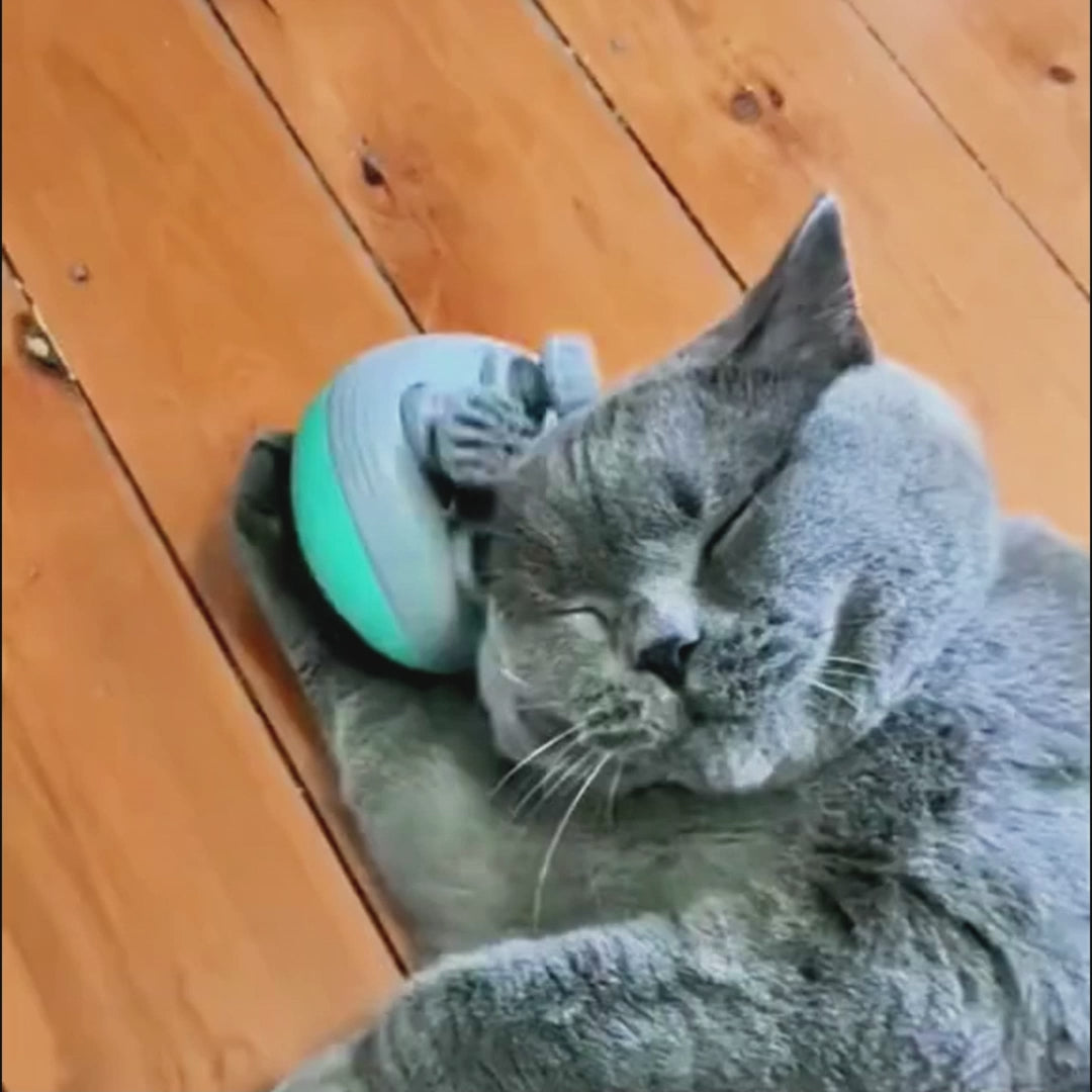 Minimasajeador de cabeza de gato